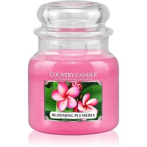 Country Candle Blooming Plumeria vonná svíčka 453 g