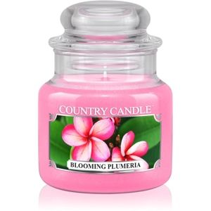 Country Candle Blooming Plumeria vonná svíčka 104 g