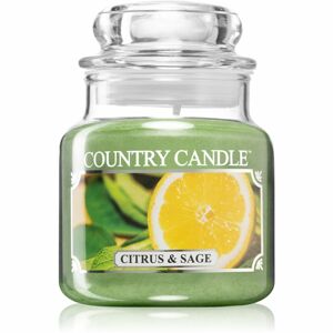 Country Candle Citrus & Sage vonná svíčka 104 g
