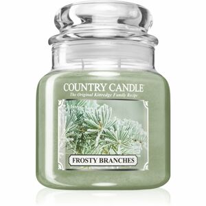 Country Candle Frosty Branches vonná svíčka 453 g