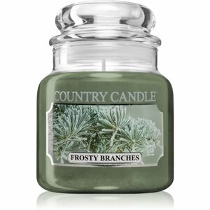 Country Candle Frosty Branches vonná svíčka 104 g
