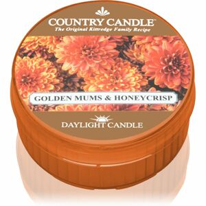Country Candle Golden Mums & Honey Crisp čajová svíčka 42 g