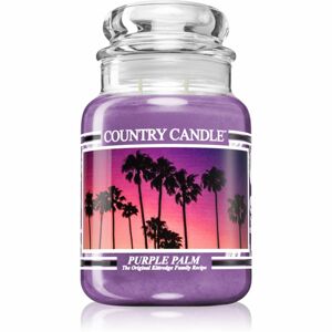 Country Candle Purple Palm vonná svíčka 680 g
