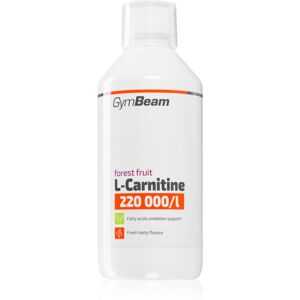 GymBeam L-Carnitine 220 000 mg/l spalovač tuků příchuť Forest Fruit 500 ml