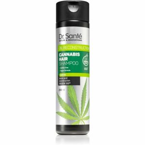 Dr. Santé Cannabis regenerační šampon s konopným olejem 250 ml