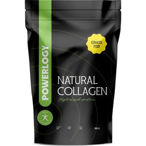 Powerlogy Natural Collagen kolagen pro krásné vlasy a pokožku 330 g