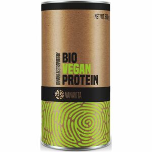 VanaVita Vegan Protein BIO veganský protein v BIO kvalitě příchuť banana & strawberry 600 g