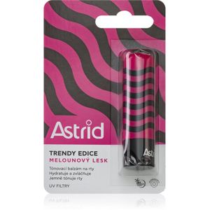 Astrid Lip Care tónovací balzám na rty meloun 4.8 g