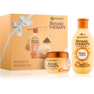 Garnier Botanic Therapy Honey & Propolis sada I.