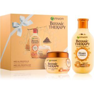 Garnier Botanic Therapy Honey kosmetická sada I.