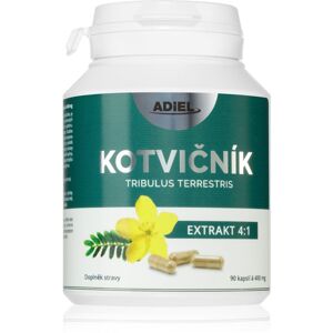 Adiel Kotvičník extrakt bylinné kapsle na podporu hormonální rovnováhy 90 cps