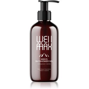 WellMax Pánský sprchový gel 3v1 sprchový gel pro muže 3 v 1 250 ml