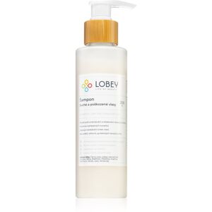 Lobey Hair Care šampon pro suché a poškozené vlasy 200 ml