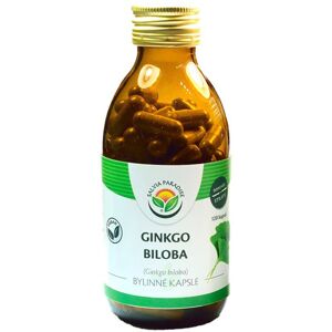 Salvia Paradise Ginkgo biloba bylinné kapsle doplněk stravy pro podporu kognitivních funkcí a duševní rovnováhy 120 ks