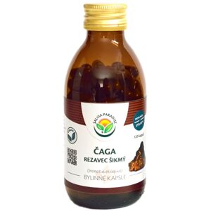 Salvia Paradise Čaga bylinné kapsle doplněk stravy pro detoxikaci organismu a podporu imunity 120 ks