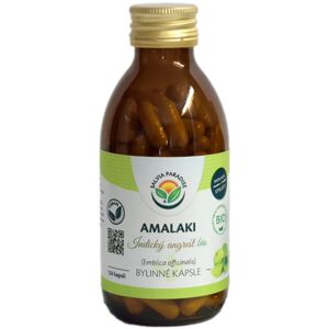 Salvia Paradise Amalaki bylinné kapsle doplněk stravy pro podporu imunitního systému 120 ks