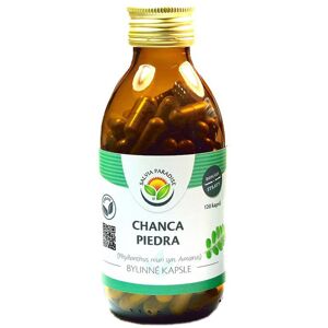 Salvia Paradise Chanca piedra bylinné kapsle doplněk stravy pro zdraví močových cest 120 ks
