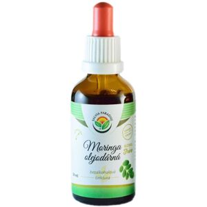 Salvia Paradise Moringa olejodárná bezalkoholová tinktura doplněk stravy pro detoxikaci organismu a podporu imunity 50 ml
