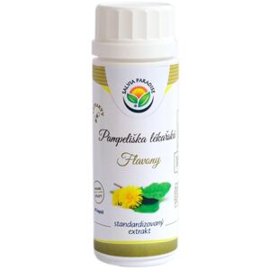 Salvia Paradise Pampeliška lékařská bylinný extrakt doplněk stravy pro podporu trávení 60 ks