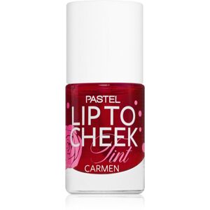 Pastel Lip To Cheek Tint tekutá tvářenka na rty a tváře odstín 01 Carmen 9,6 ml