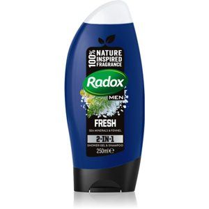 Radox Men Fresh sprchový gel a šampon 2 v 1 pro muže 250 ml
