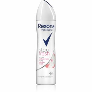 Rexona Stay Fresh White Flowers & Lychee antiperspirant ve spreji 48h 150 ml