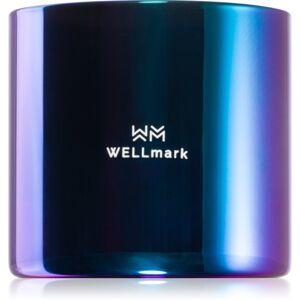 Wellmark Better Silk vonná svíčka 1 ks