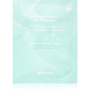 Mizon Cicaluronic™ hydratační plátýnková maska pro suchou až citlivou pleť 24 g