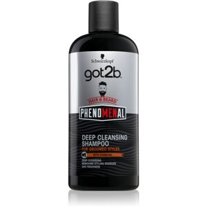 got2b Phenomenal hloubkově čisticí šampon 250 ml