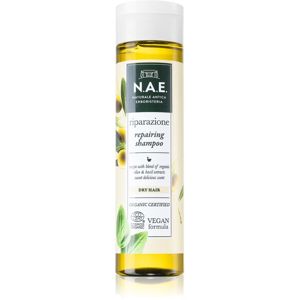 N.A.E. Riparazione regenerační šampon pro suché vlasy 250 ml