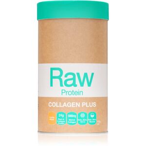Amazonia Raw Protein Collagen Plus rostlinný protein s kolagenem příchuť Vanilla & Maple 450 g