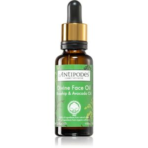 Antipodes Divine Face Oil Rosehip & Avocado Oil ochranné sérum proti prvním známkám stárnutí pleti 30 ml