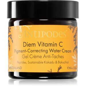 Antipodes Diem Vitamin C Pigment-Correcting Water Cream rozjasňující hydratační krém proti pigmentovým skvrnám 60 ml