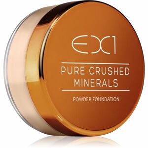 EX1 Cosmetics Pure Crushed Minerals sypký minerální pudr odstín 1.0 8 g
