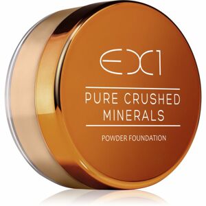 EX1 Cosmetics Pure Crushed Minerals sypký minerální pudr odstín 2.0 8 g