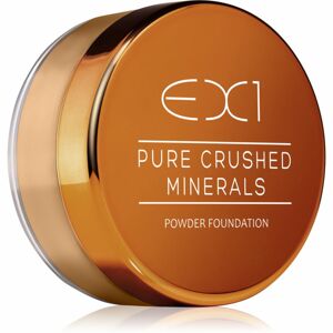 EX1 Cosmetics Pure Crushed Minerals sypký minerální pudr odstín 5.0 8 g