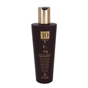Alterna Ten vyživující šampon pro obnovu a posílení vlasů bez obsahu sulfátů 250 ml
