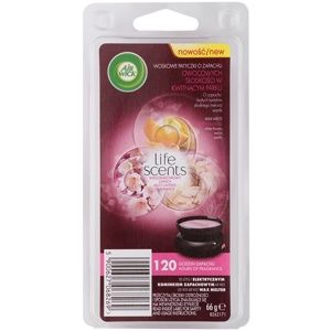 Air Wick Life Scents Summer Delights vosk do aromalampy 66 g