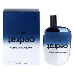 Comme des Garçons Blue Cedrat parfémovaná voda unisex 100 ml