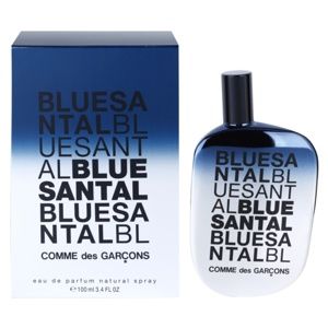 Comme des Garçons Blue Santal parfémovaná voda unisex 100 ml