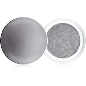 Clarins Eye Make-Up Ombre Iridescente dlouhotrvající oční stíny s perleťovým leskem odstín 10 Silver Grey 7 g