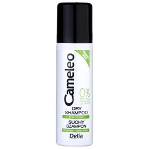 Delia Cosmetics Cameleo suchý šampon pro objem