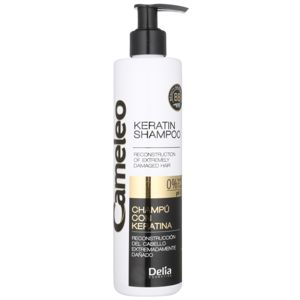 Delia Cosmetics Cameleo BB keratinový šampon pro poškozené vlasy 250 ml