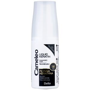 Delia Cosmetics Cameleo BB tekutý keratin ve spreji pro poškozené vlasy 50 ml