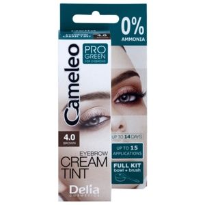 Delia Cosmetics Cameleo Pro Green barva na obočí bez amoniaku odstín 4.0 Brown 15 ml
