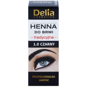 Delia Cosmetics Henna barva na obočí odstín 1.0 Black 2 g + 2 ml