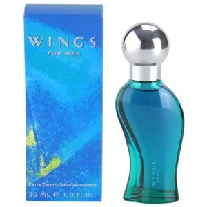 Giorgio Beverly Hills Wings for Men toaletní voda pro muže 30 ml