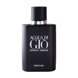 Armani Acqua di Giò Profumo parfémovaná voda pro muže 40 ml
