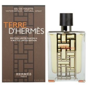 Hermès Terre d'Hermès H Bottle Limited Edition 2013 toaletní voda pro muže 100 ml