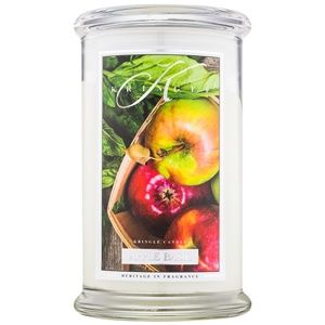 Kringle Candle Apple Basil vonná svíčka 624 g